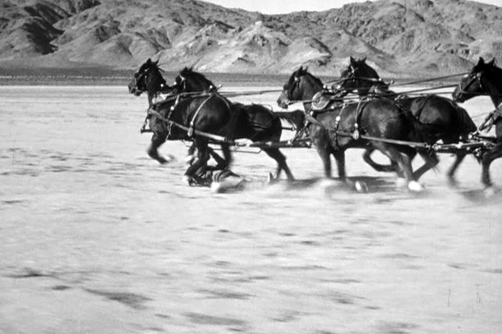 yakima canutt